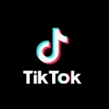 TikTok Author Followers Scraper